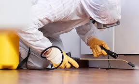 Best Residential Pest Control  in Butner, NC